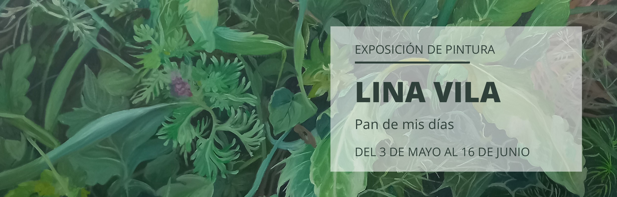 EXPO LINA VILA WEB