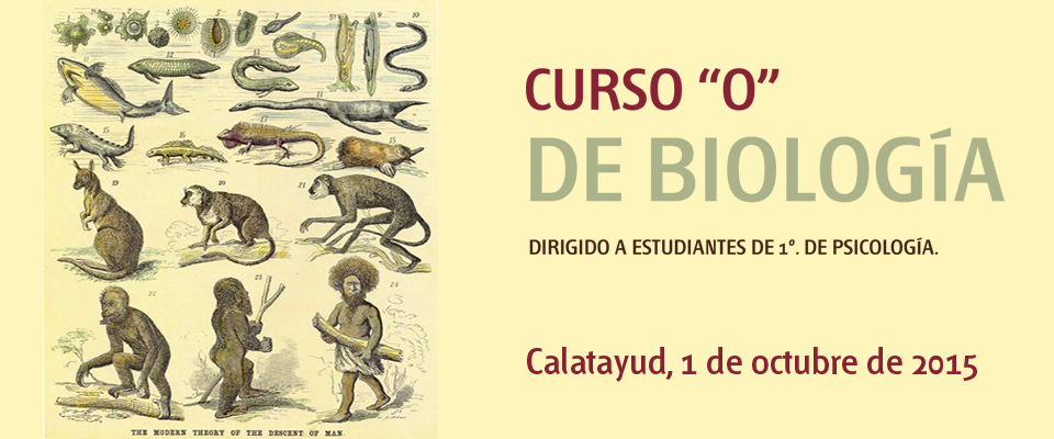 EXAMEN DE PSICOLOGIA DE LA PERSONALIDAD UNED examen de psicologia de la personalidad uned: